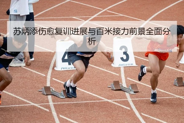 苏炳添伤愈复训进展与百米接力前景全面分析