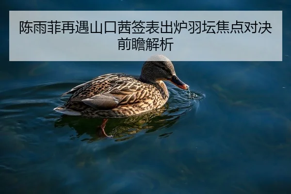 陈雨菲再遇山口茜签表出炉羽坛焦点对决前瞻解析